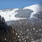 Chalet Detached In Saalbach-Hinterglemm