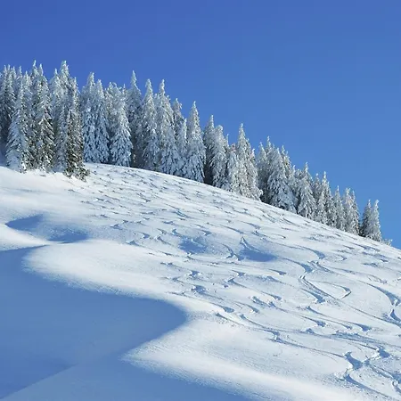 Chalet Large In Hinterglemm
