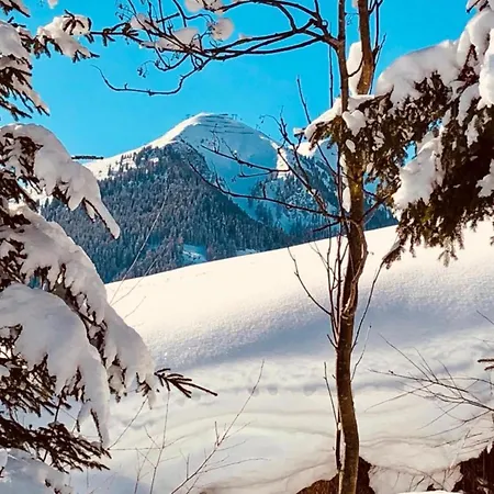 Large In Hinterglemm *