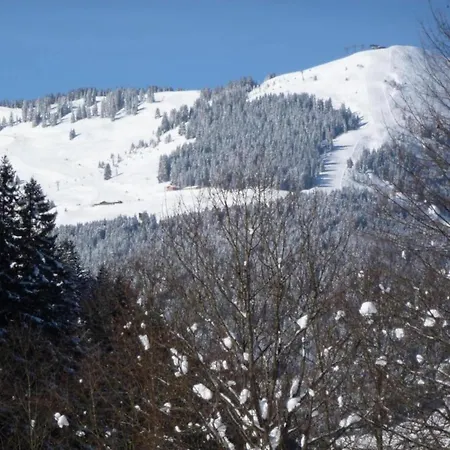 Horská chata Detached In Saalbach-Hinterglemm