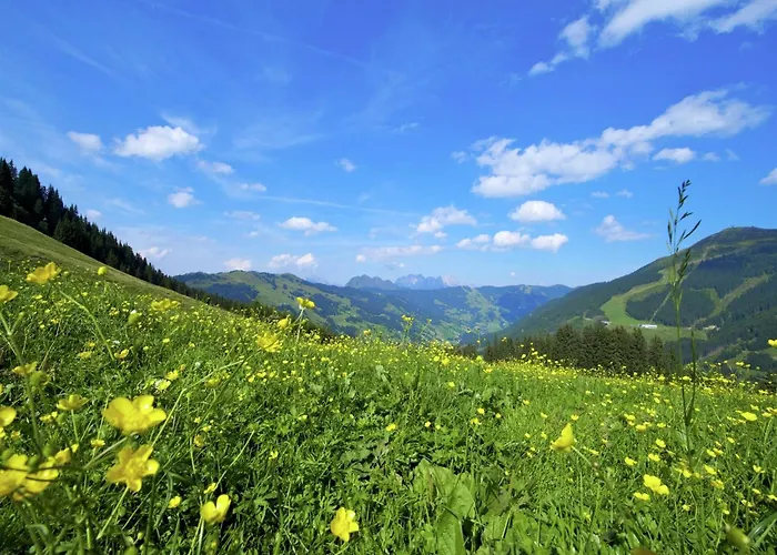 Detached In * Σάαλμπαχ-Χίντεργκλεμ