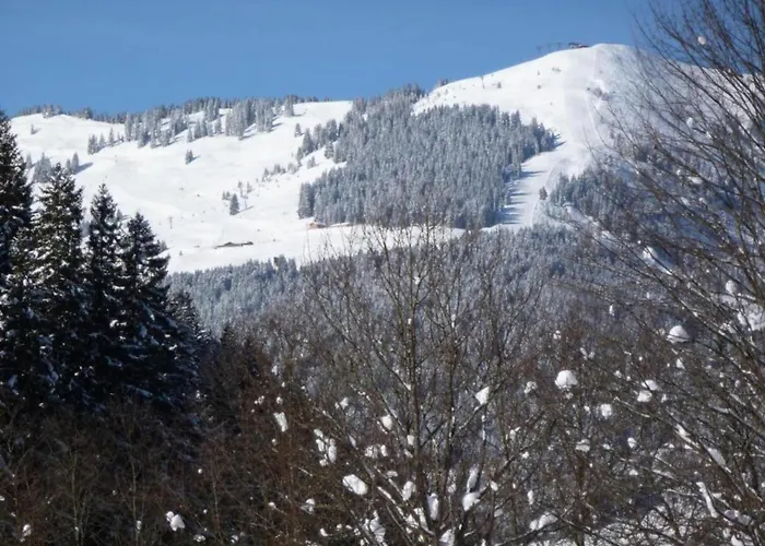 Σαλέ Detached In Σάαλμπαχ-Χίντεργκλεμ